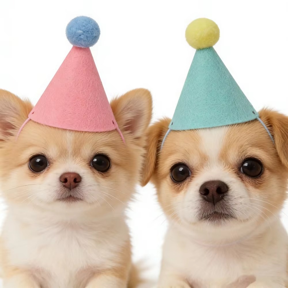 6/12pcs Cute Mini Pet Party Ha - Party Hat Cone recension och pris